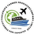 svkturmericexports